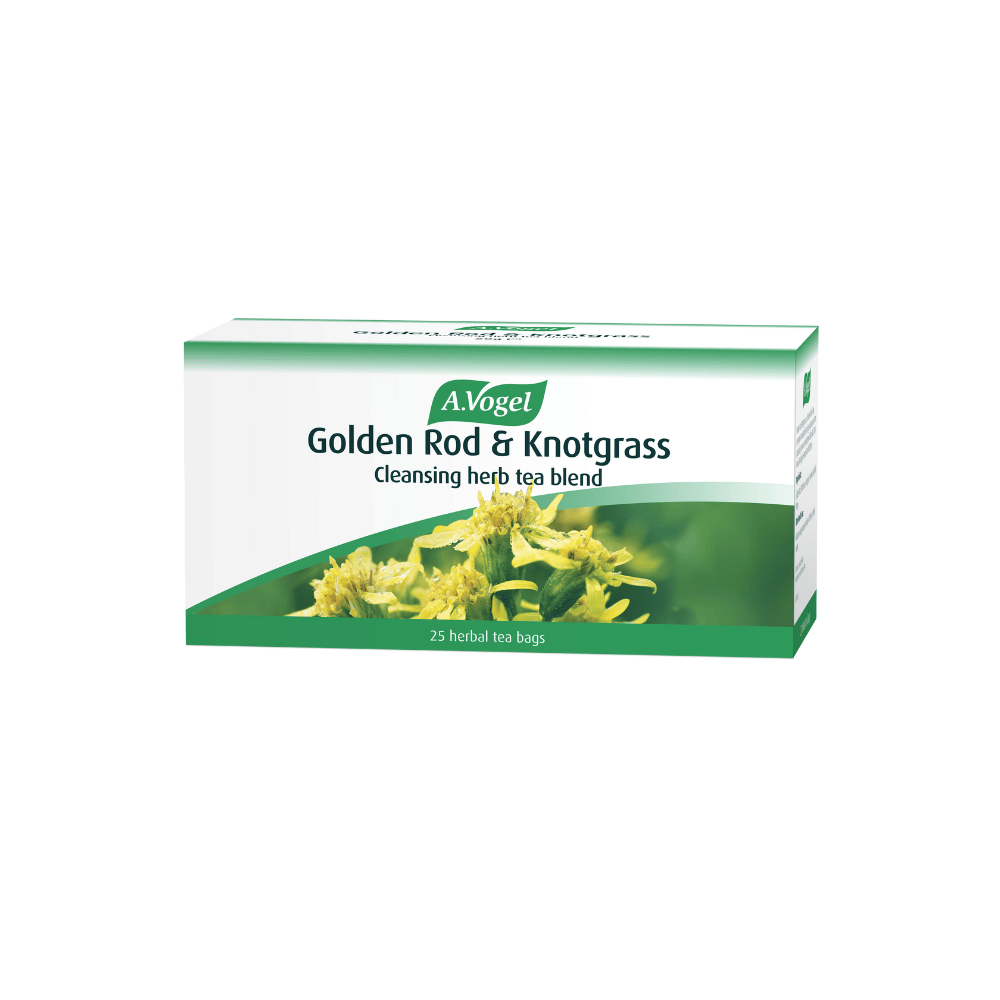 A Vogel Golden Rod & Knotgrass Tea- Lillys Pharmacy and Health Store