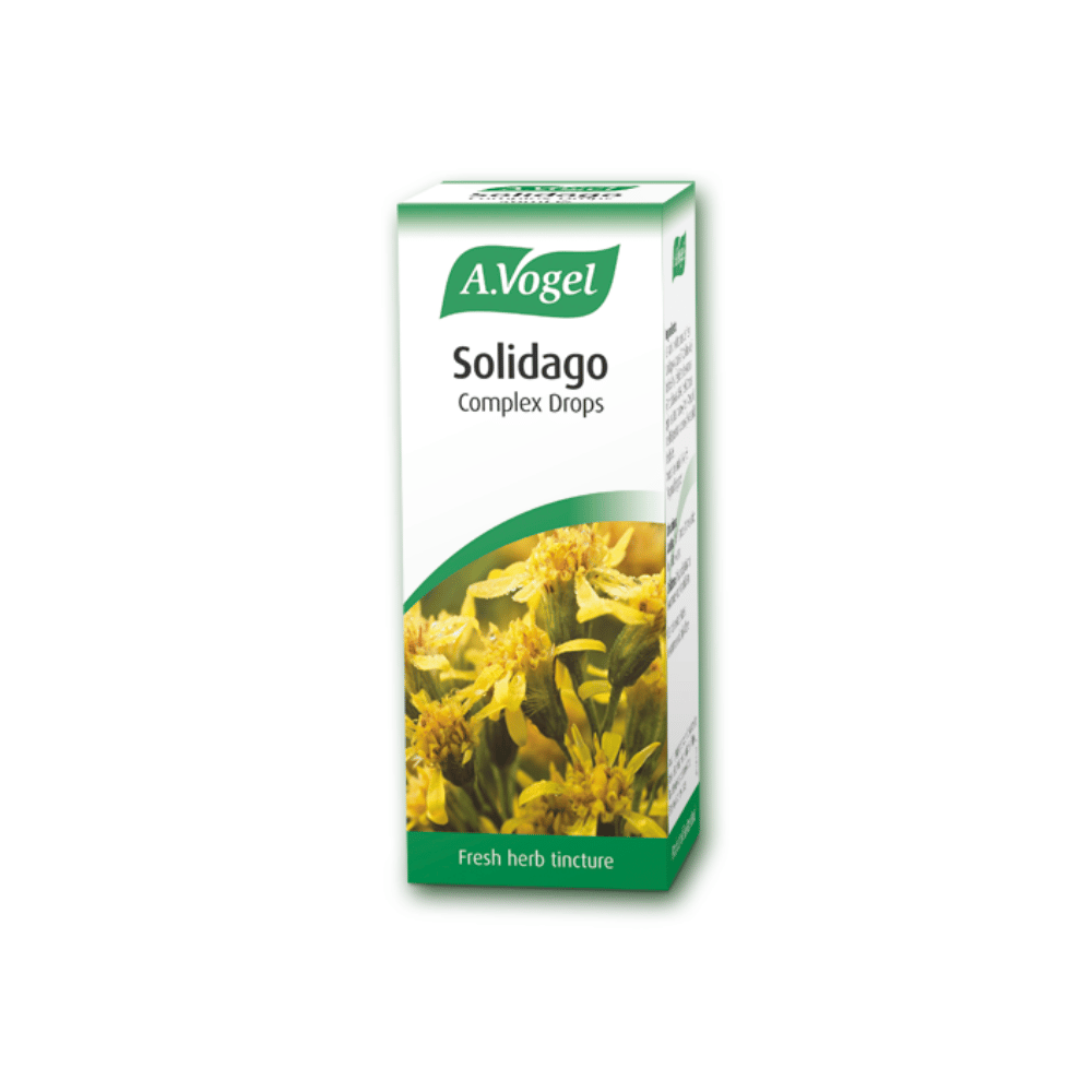 A Vogel Solidago Complex 50ml- Lillys Pharmacy and Health Store