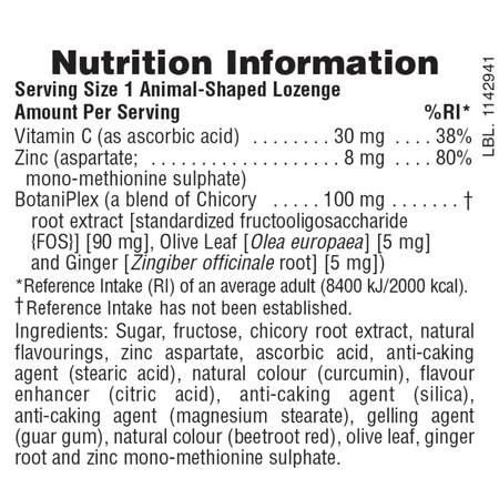 NaturesPlus Animal Parade KidZinc Lozenges 90's- Lillys Pharmacy and Health Store