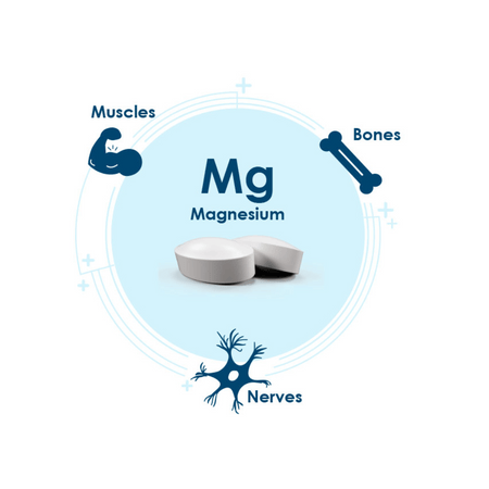 Pharma Nord BioActive Magnesium 150's- Lillys Pharmacy and Health Store